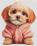 (image for) Apricot Poodle